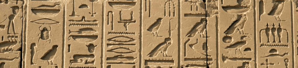 Scritture e salti: storia e storie del linguaggio